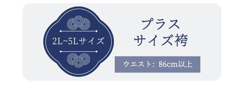 プラスサイズボタン